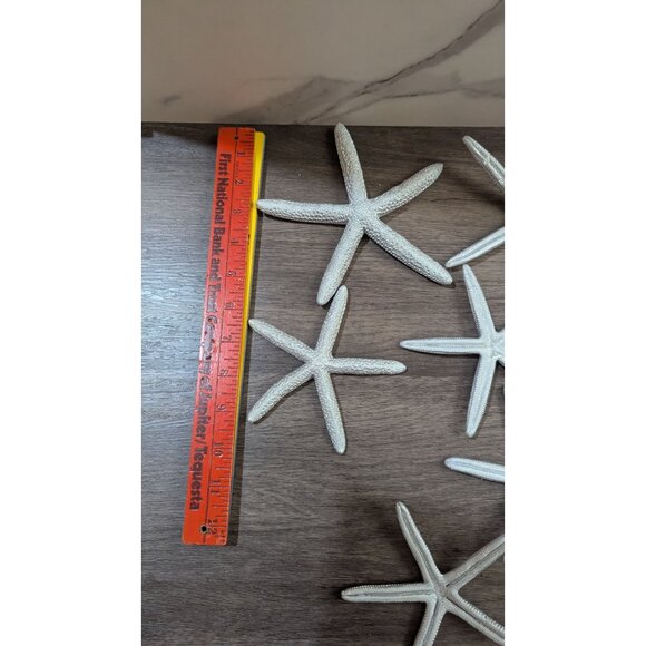 Set Of 6 silver gray Decorative Starfish 5 Inches For Beach Crafts & Home Decor - Picture 6 of 6